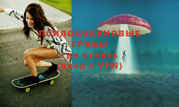 а пвп мука Гусь-Хрустальный