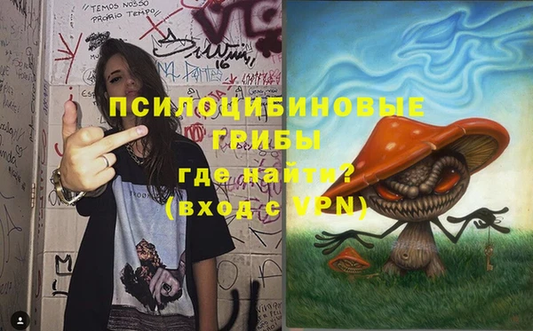 эйфоретик Гусиноозёрск