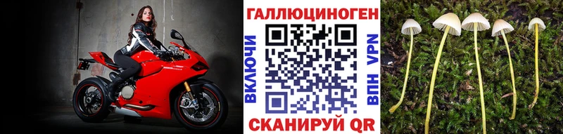 Галлюциногенные грибы Psilocybine cubensis  Купить закладки  Бакал 