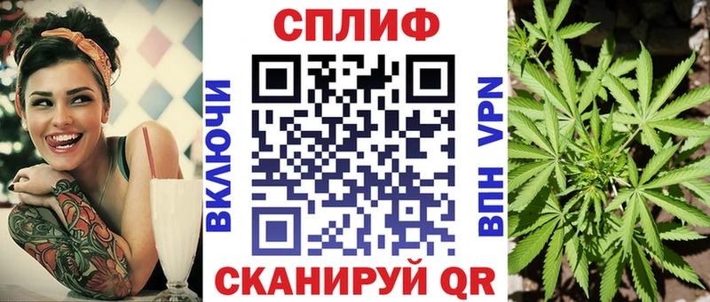 Шишки марихуана MAZAR  Купить закладки  Бакал 